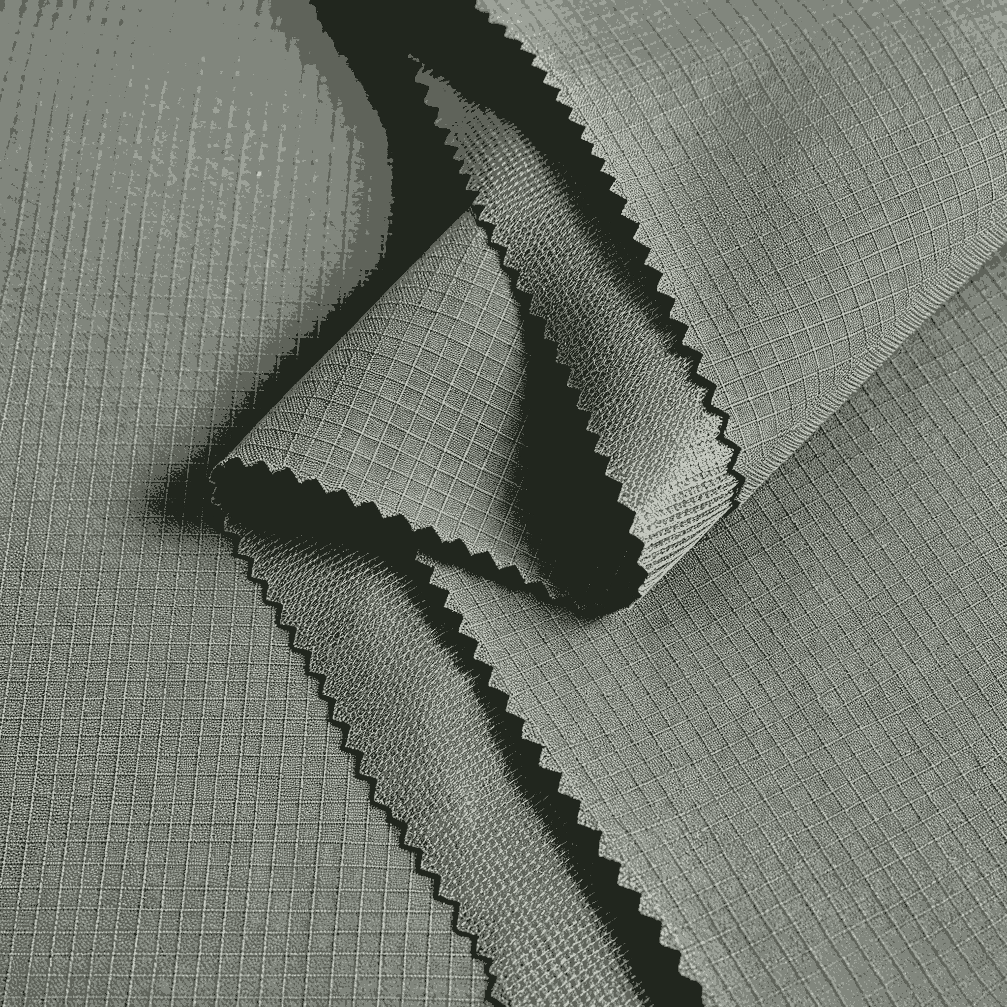 shape